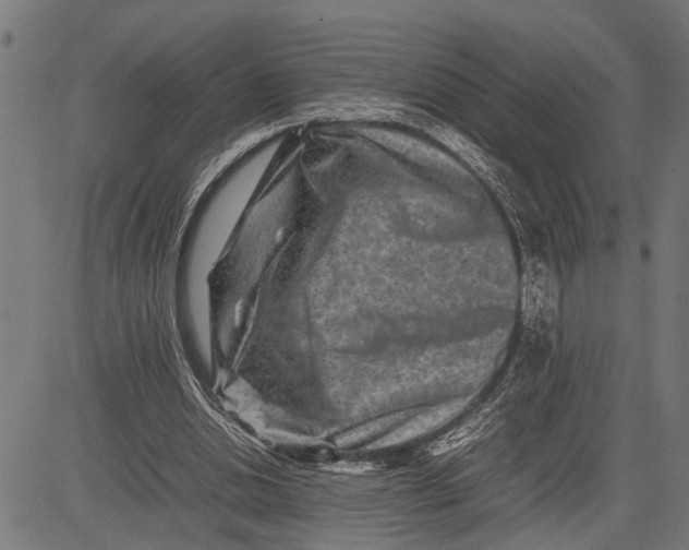 X0000081450438200702021746