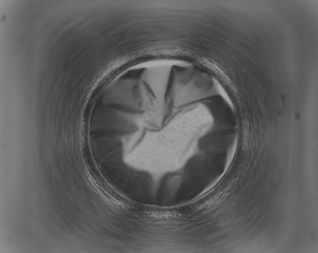 X0000081450439200702021746