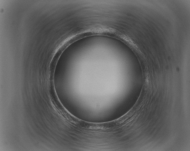 X0000081450440200702021746