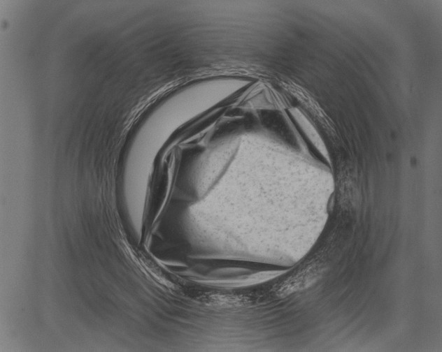 X0000081450442200702021746