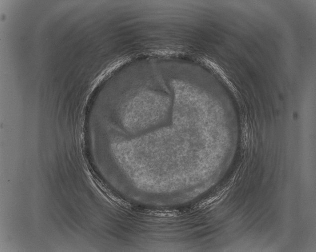 X0000081450443200702021746