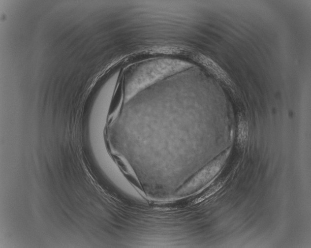 X0000081450444200702021746