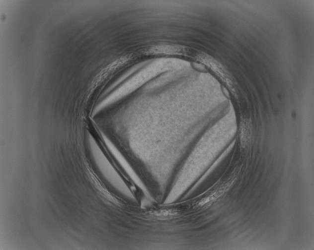 X0000081450445200702021746