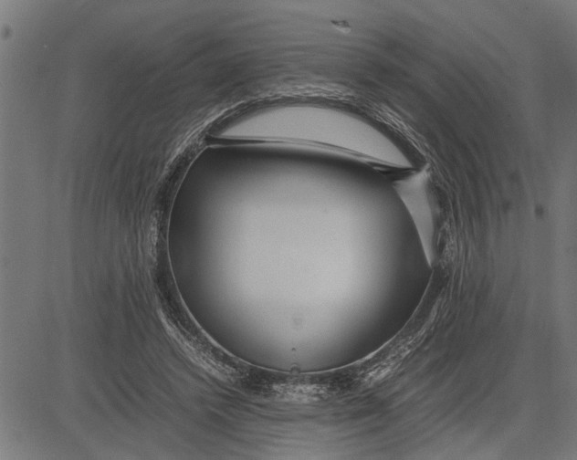 X0000081450448200702021746