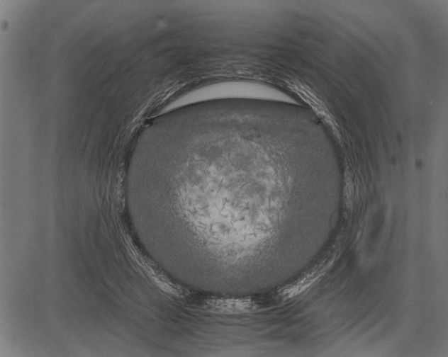 X0000081450449200702021746