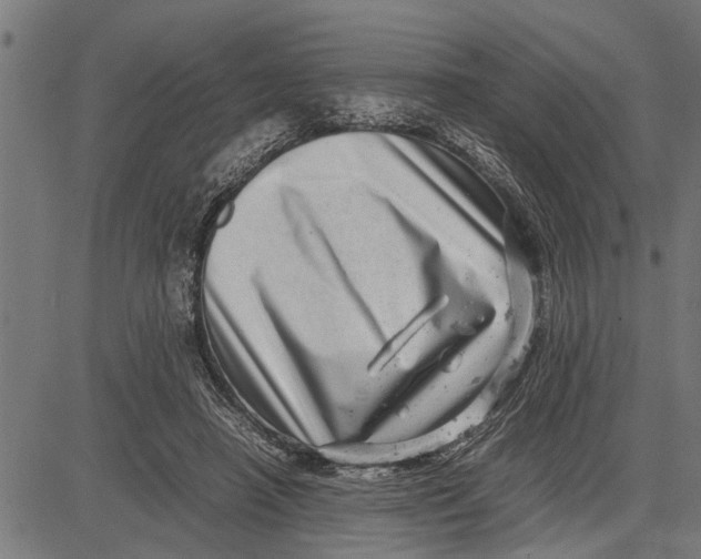 X0000081450450200702021746