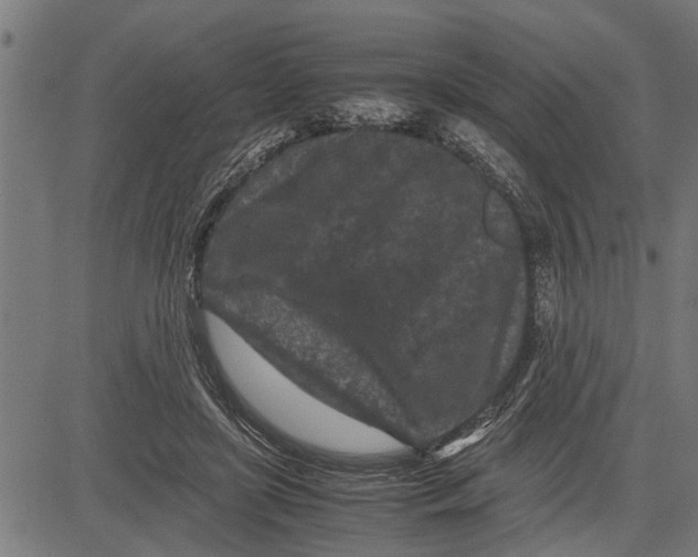 X0000081450451200702021746
