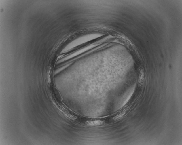 X0000081450452200702021746