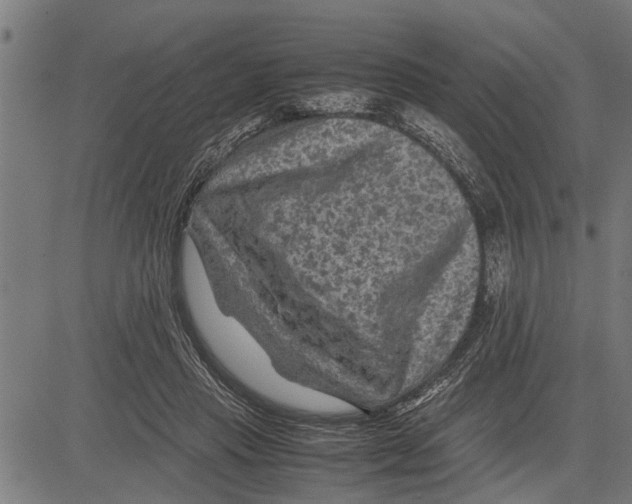 X0000081450453200702021746