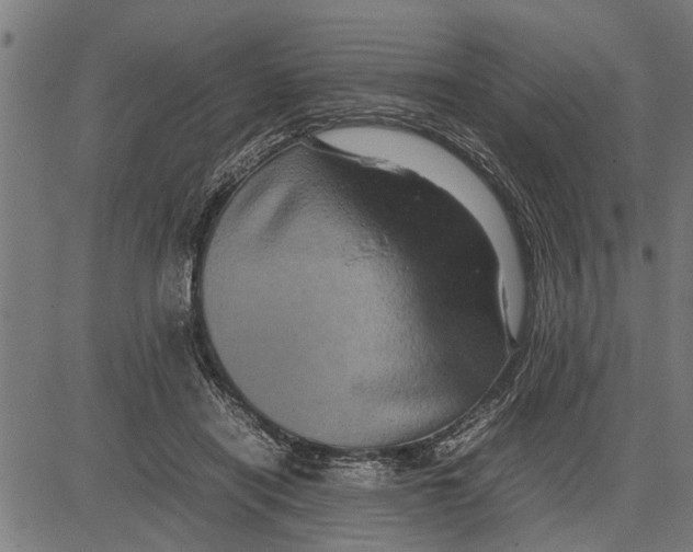 X0000081450454200702021746
