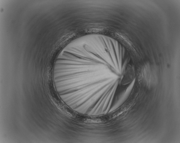 X0000081450455200702021746