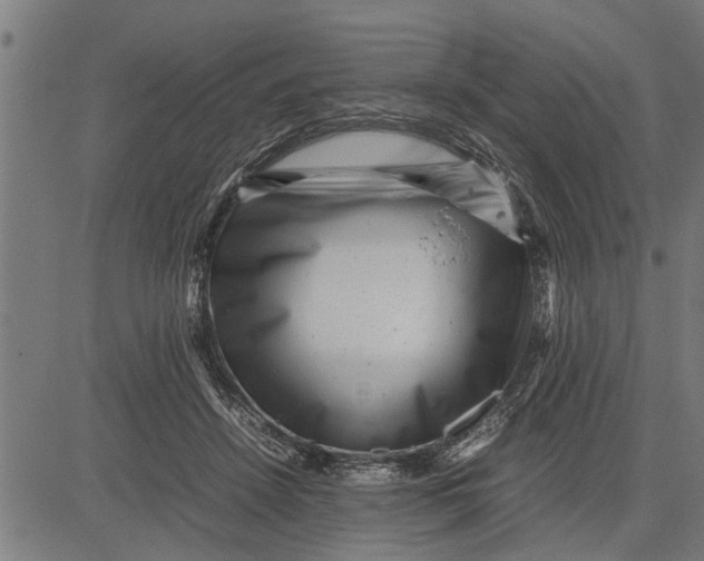 X0000081450456200702021746