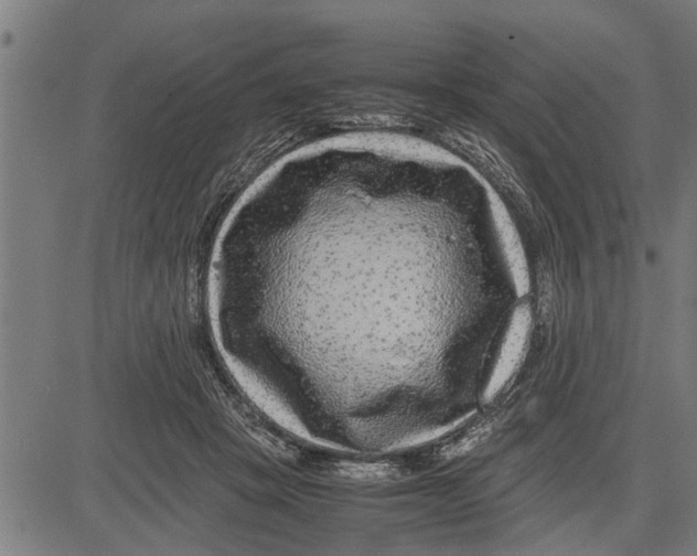 X0000081450457200702021746