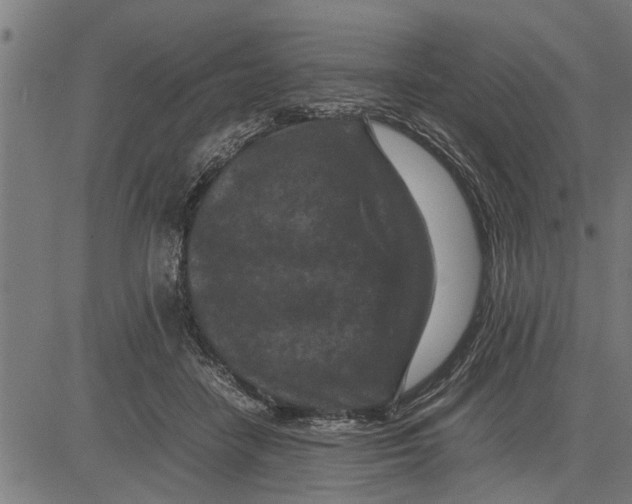 X0000081450458200702021746