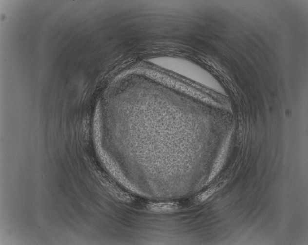 X0000081450461200702021746