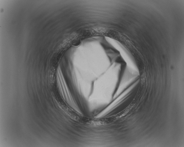 X0000081450464200702021747