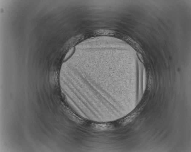 X0000081450473200702021747