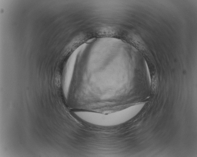 X0000081450474200702021747