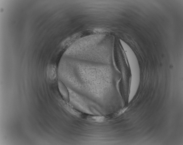 X0000081450478200702021747