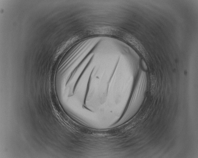 X0000081450482200702021746