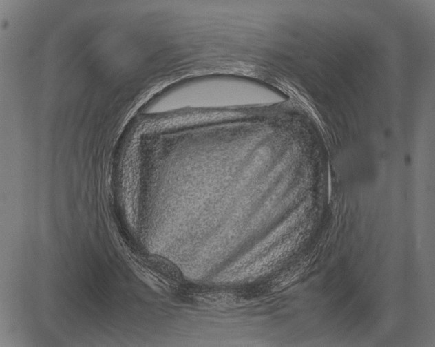 X0000081450483200702021746