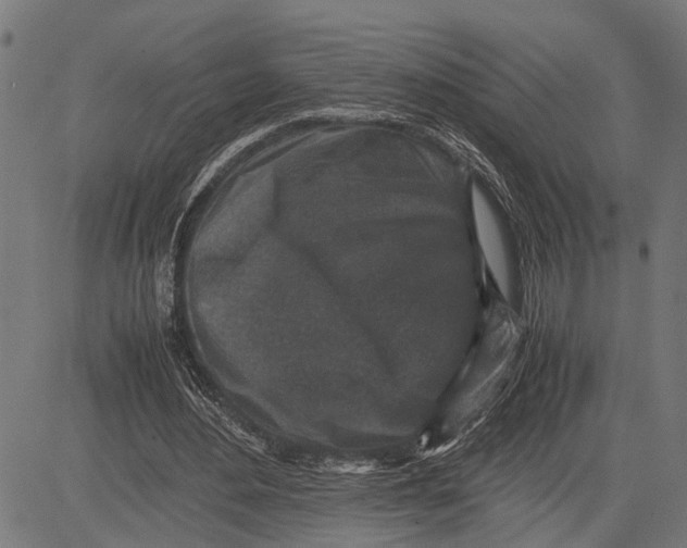 X0000081450484200702021746