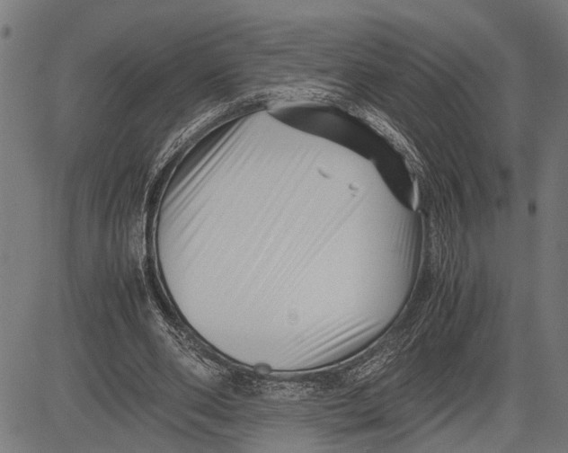 X0000081450486200702021746