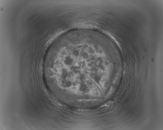 X0000081450487200702021746