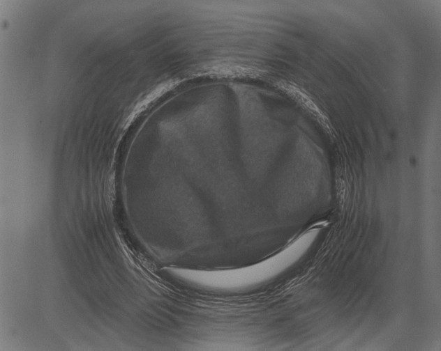 X0000081450488200702021746