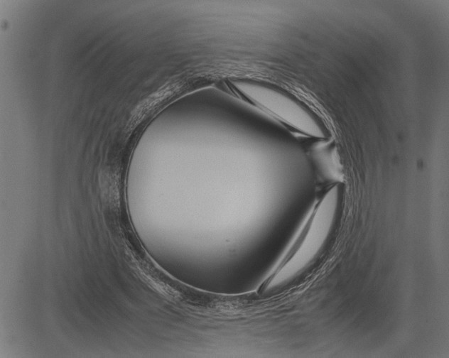 X0000081450489200702021746