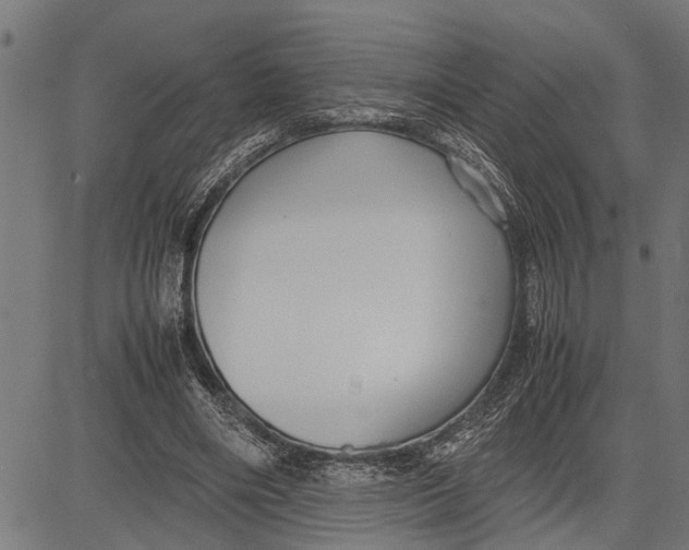 X0000081450490200702021746