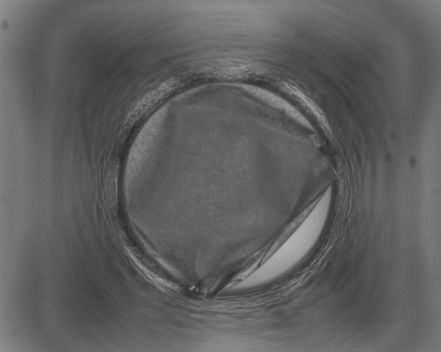 X0000081450493200702021746