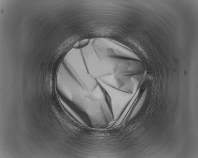 X0000081450494200702021746