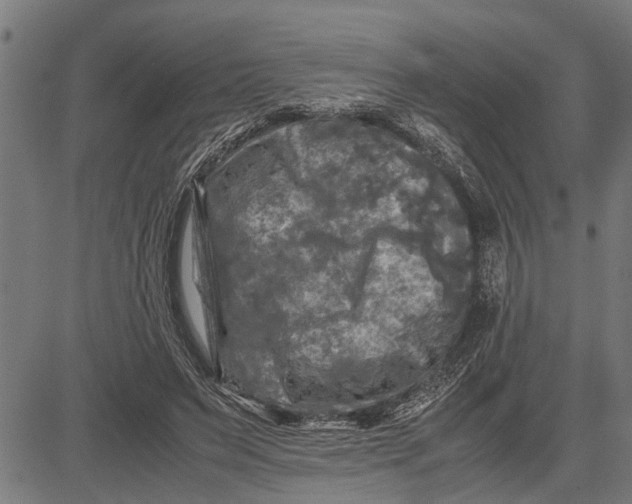 X0000081450495200702021746