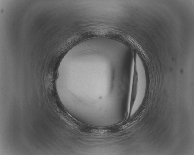 X0000081450497200702021746