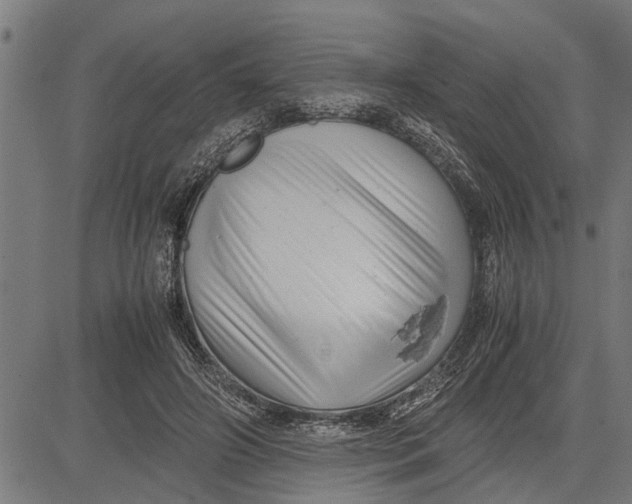 X0000081450498200702021746