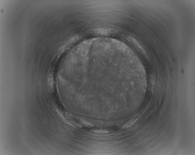 X0000081450500200702021746