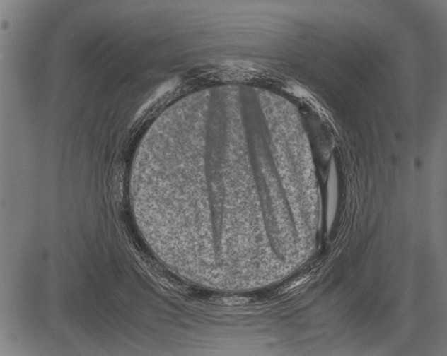 X0000081450501200702021746