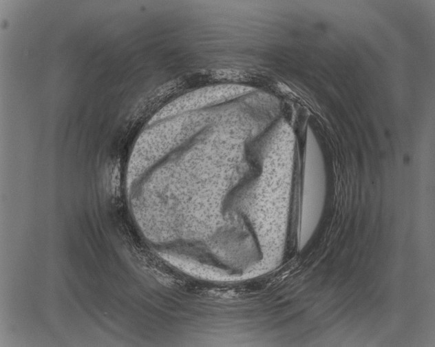 X0000081450502200702021746