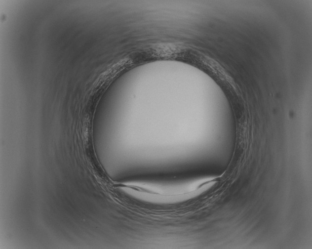 X0000081450505200702021746