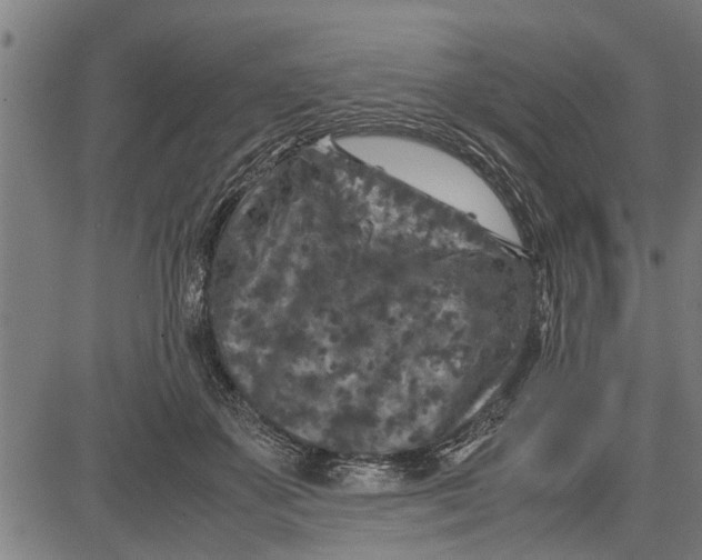 X0000081450507200702021746