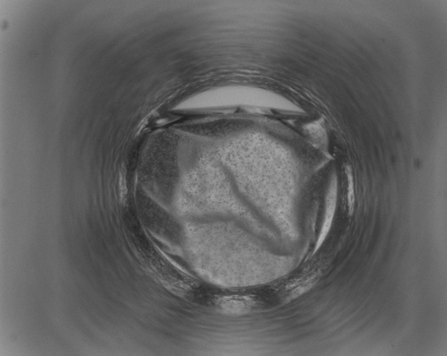 X0000081450508200702021746