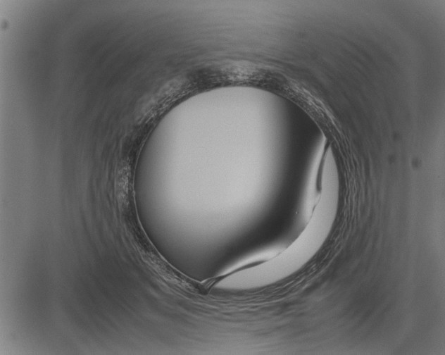 X0000081450509200702021746