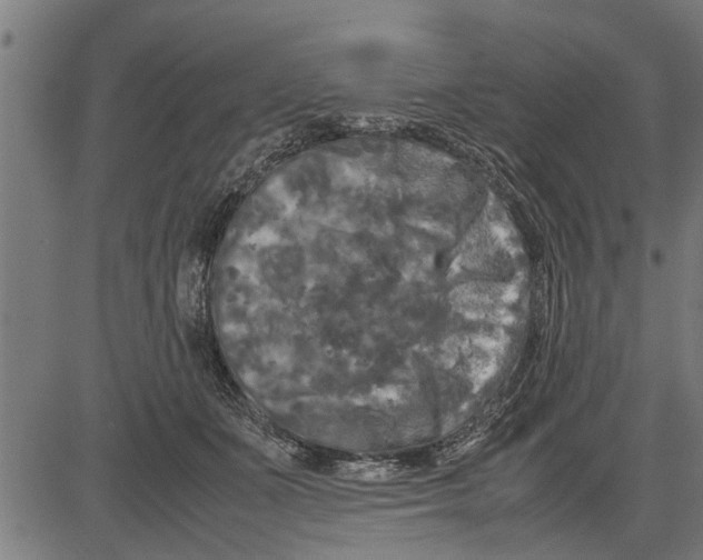 X0000081450511200702021746