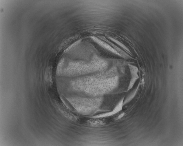 X0000081450512200702021746