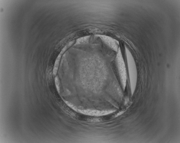 X0000081450513200702021745