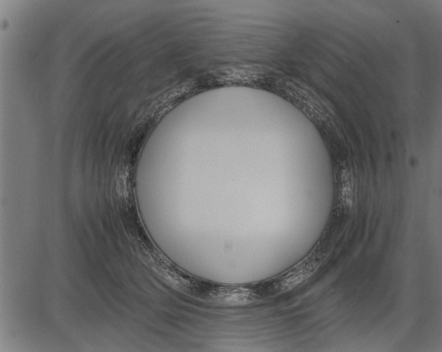 X0000081450514200702021745