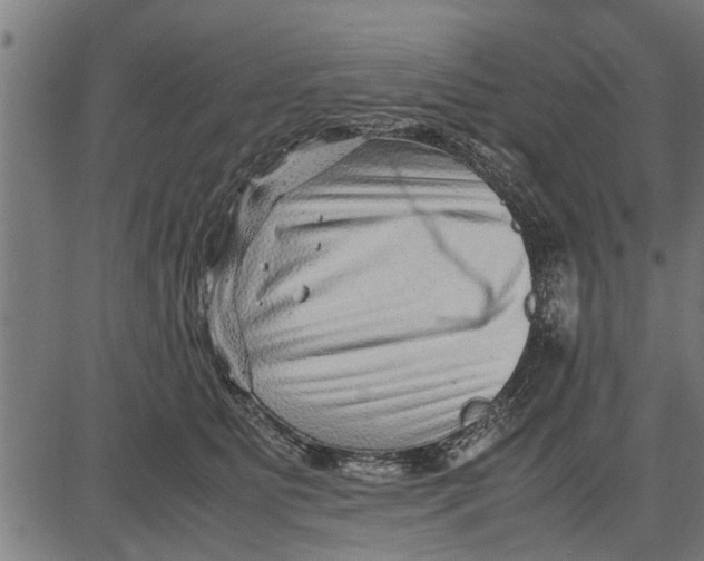 X0000081450515200702021745