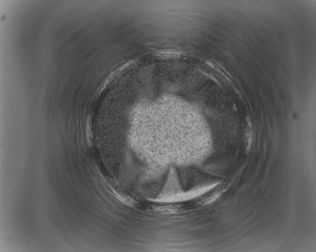 X0000081450516200702021745