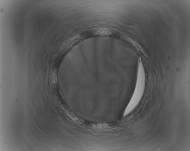 X0000081450517200702021745